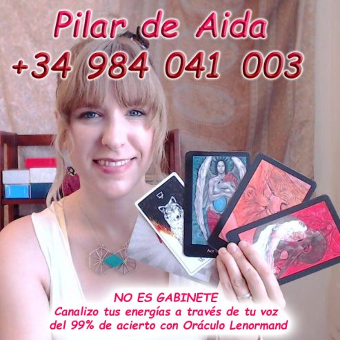 PILAR DE AIDA sin gabinete 6€