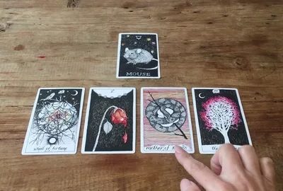 Tarot por telefono