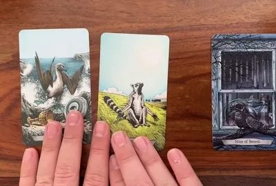 Tarot por telefono