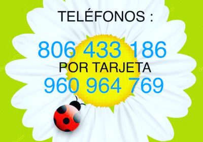 62E9D568-32E5-4770-9E20-3AE924D0DBB2-6