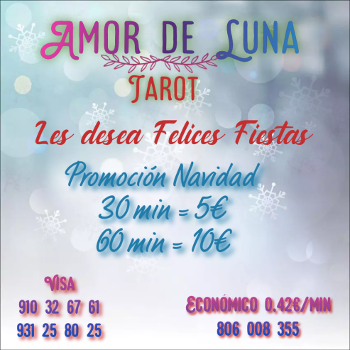 Promoción Navidad. Todo Diciembre