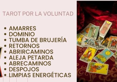 TAROT-VOLUNTAD-1