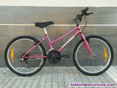 Bicicleta Toimsa Juvenil Femenina