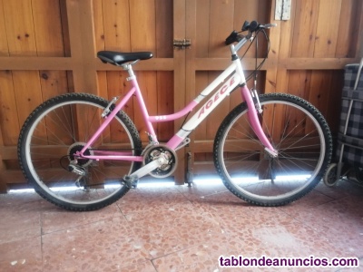 Bicicleta de paseo