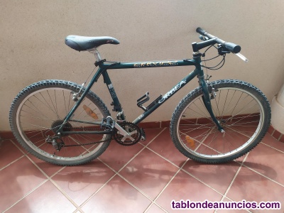 Bicicleta orbea cervino