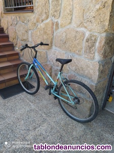 Venta de bicicleta orbea