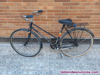 Bicicleta de paseo clsica.