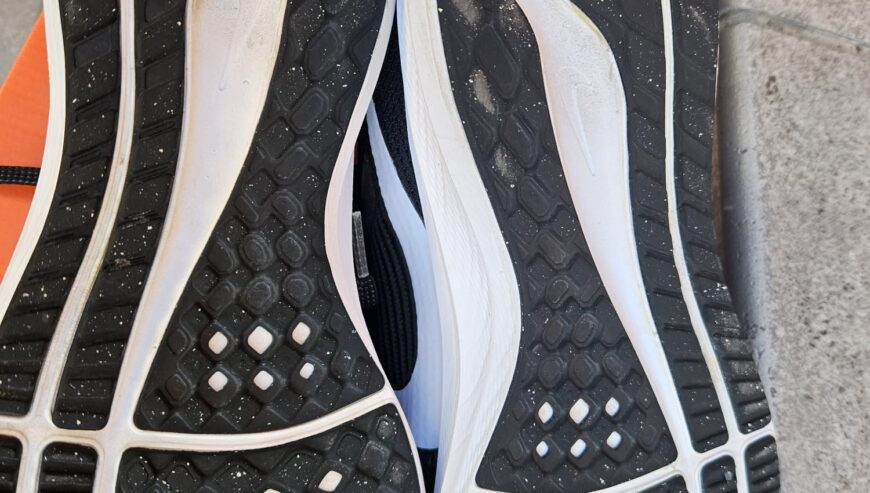 Nike PEGASUS 40. Negras