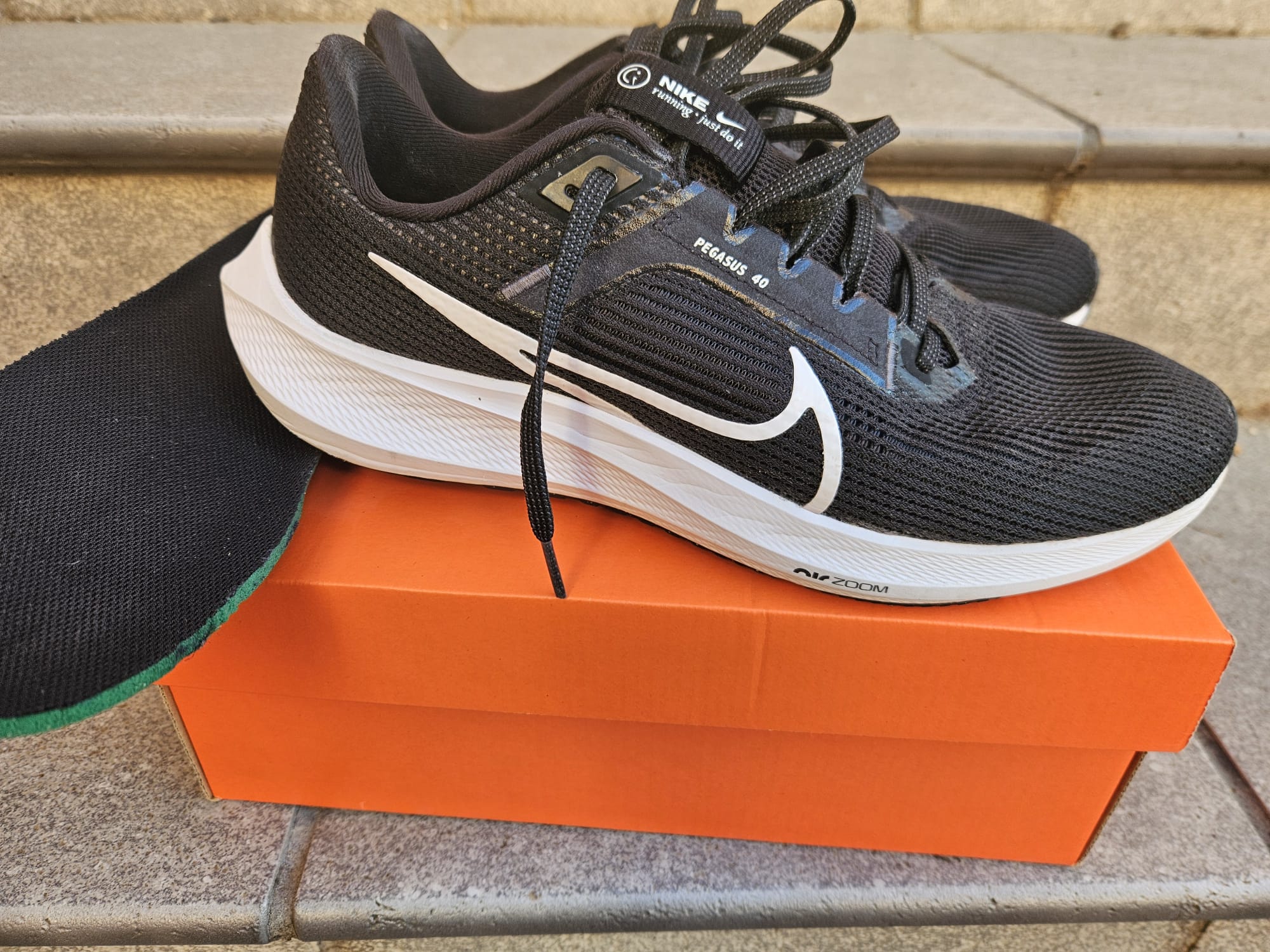 Nike PEGASUS 40. Negras
