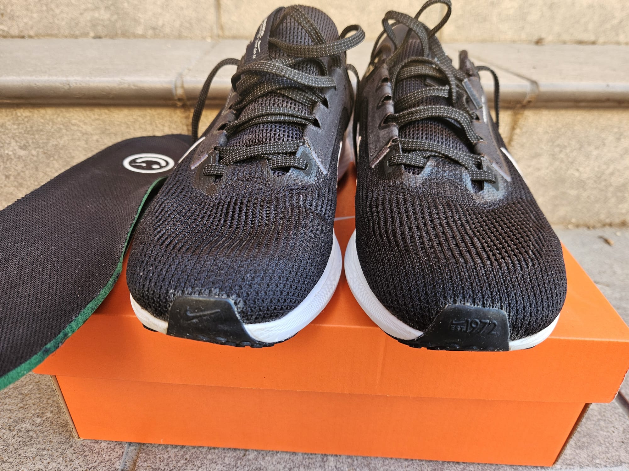 Nike PEGASUS 40. Negras