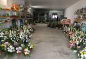 Centros para los santos