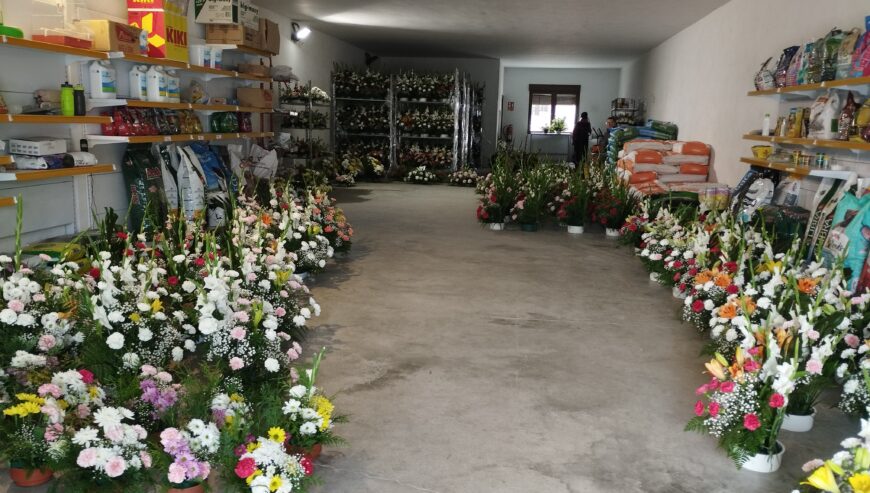 Centros para los santos