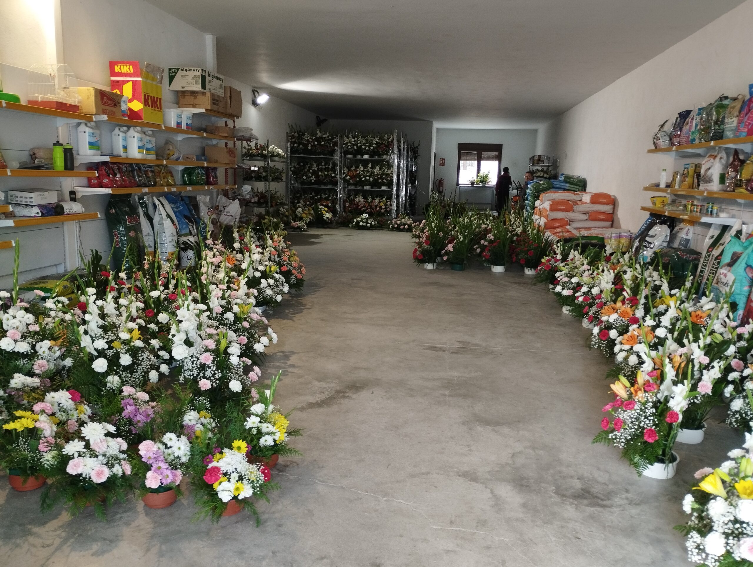 Centros para los santos