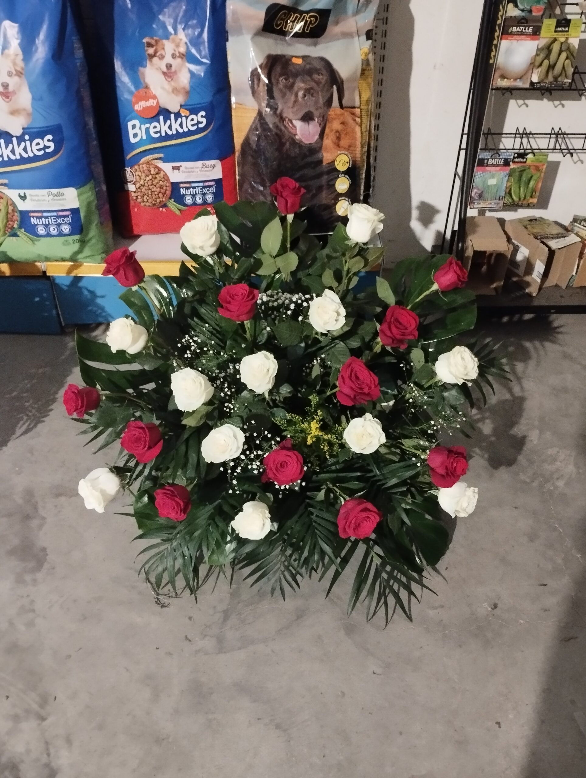 Centros para los santos