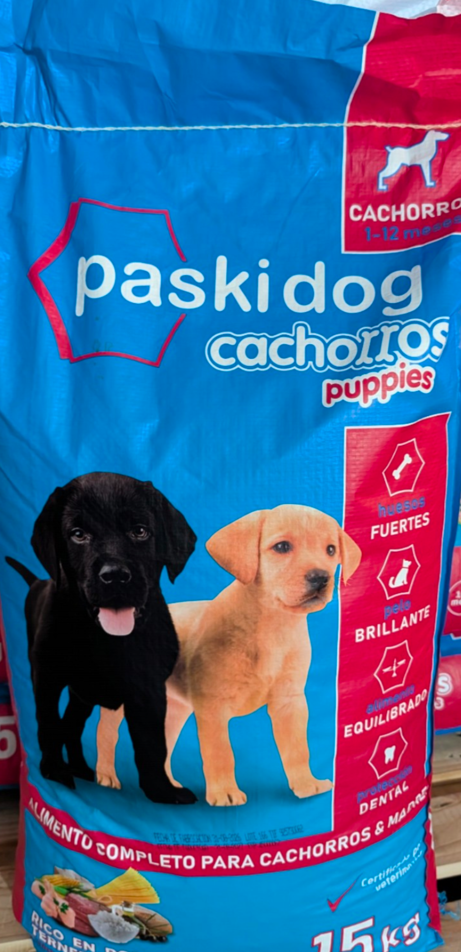 Paskidog cachorros